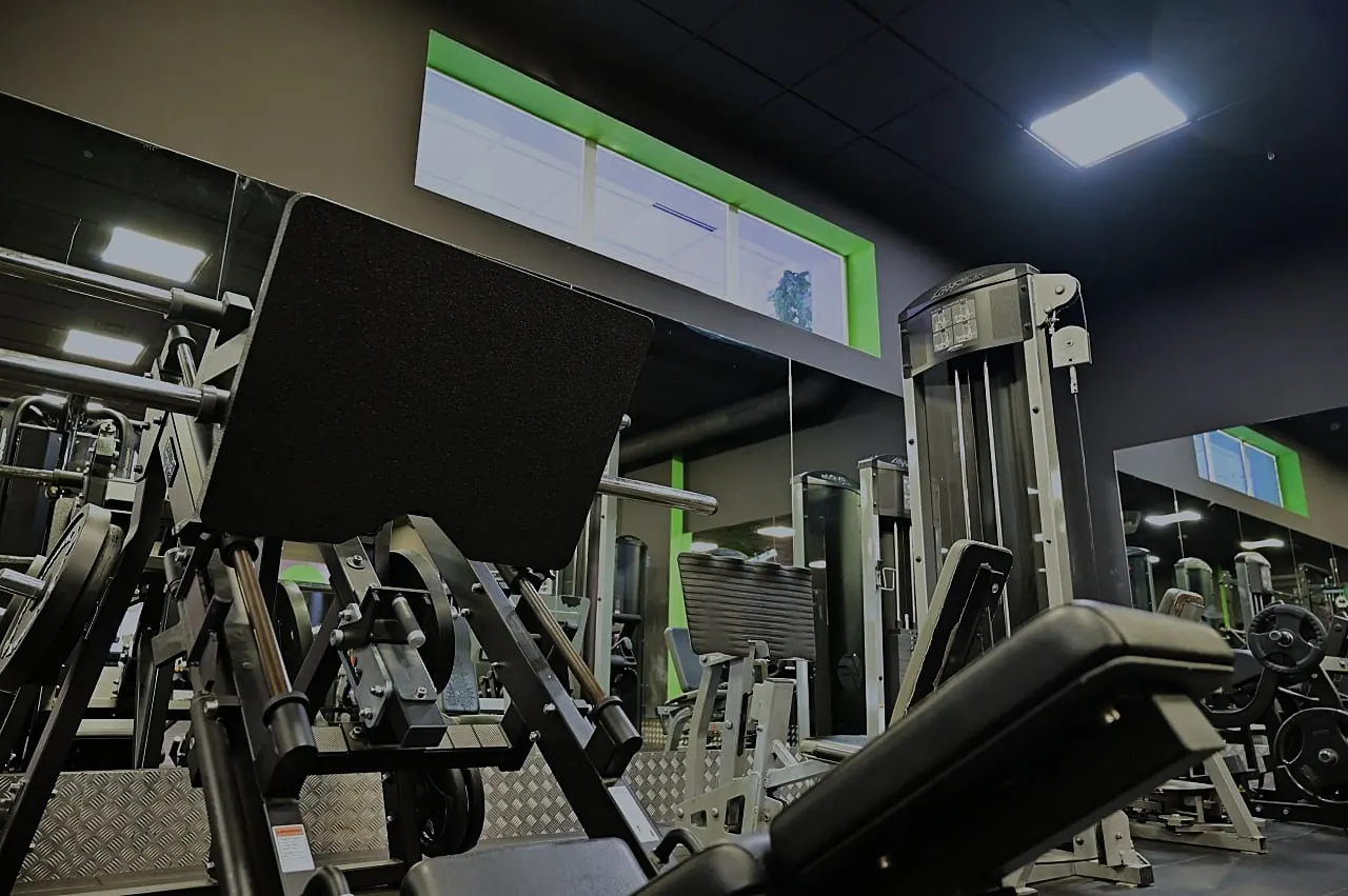 Máquinas de musculación Life Fitness